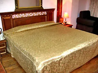 ***  Ashiana Regency Hotel Shimla India